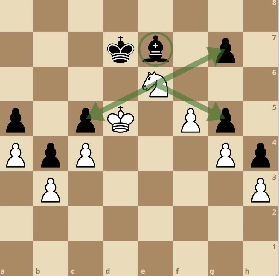 quan-ma-trong-co-vua-8