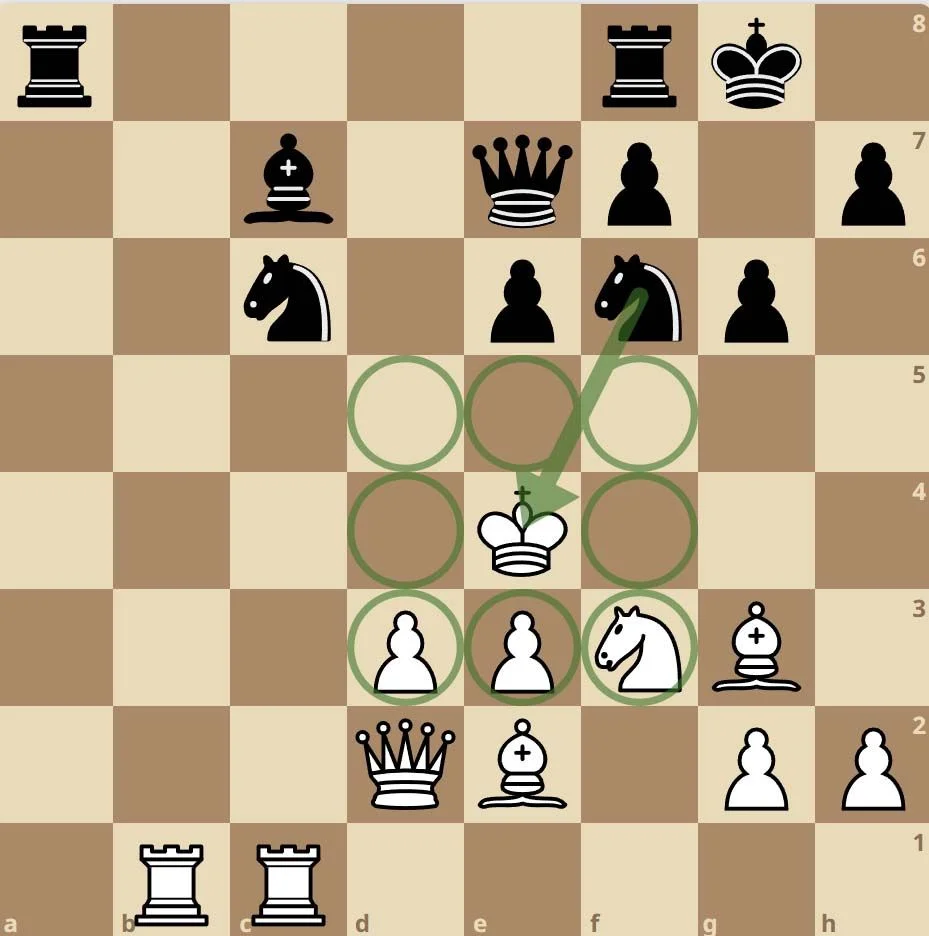 quan-vua-trong-co-vua-5